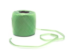 Nature Kunststof raffia groen 100g 400m