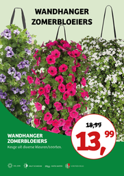 Wandhangers in de mix ; . 50/+